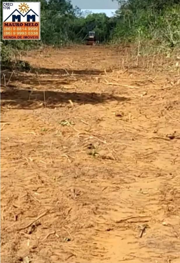 Fazenda à venda - Foto 2