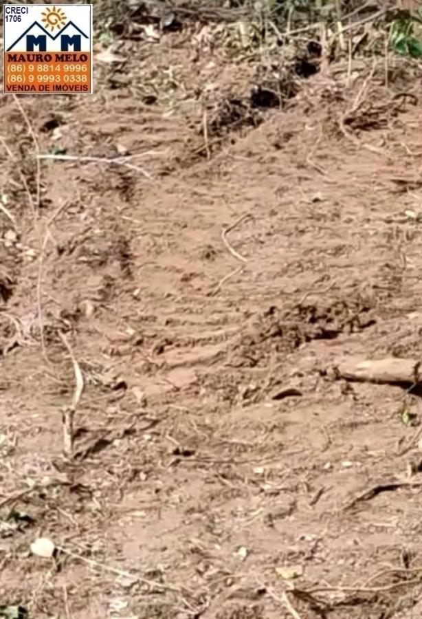 Fazenda à venda - Foto 3