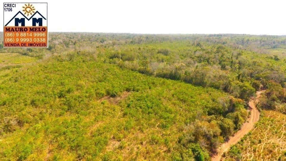Fazenda à venda - Foto 5