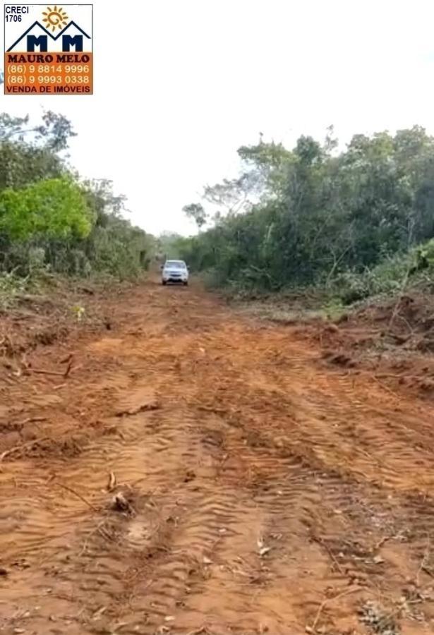 Fazenda à venda - Foto 6