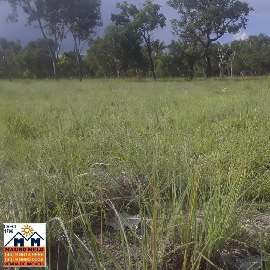 Fazenda à venda, 4026000m² - Foto 2