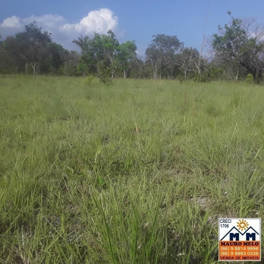 Fazenda à venda, 4026000m² - Foto 3