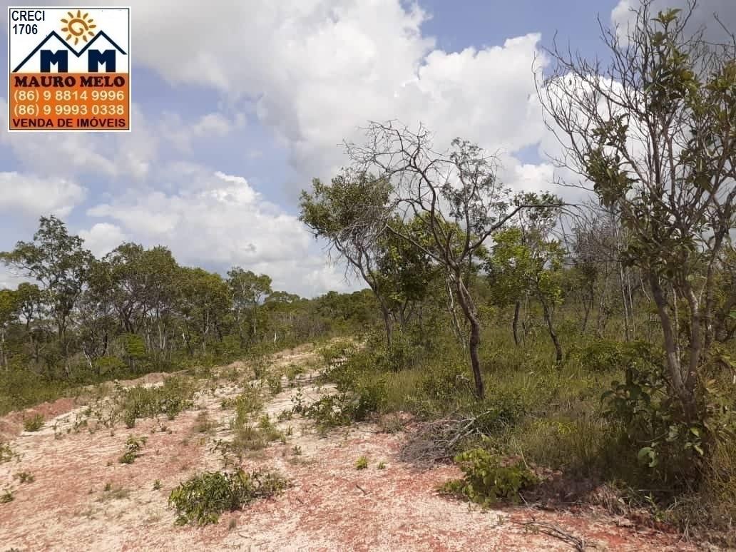 Fazenda à venda, 4026000m² - Foto 5