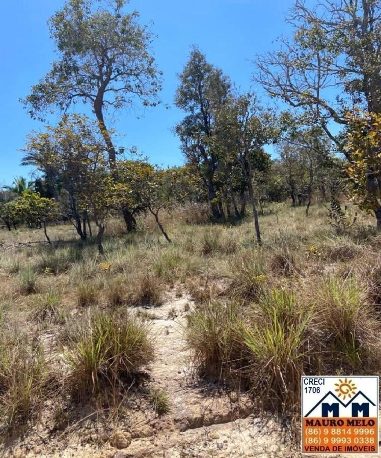 Fazenda à venda, 4026000m² - Foto 10