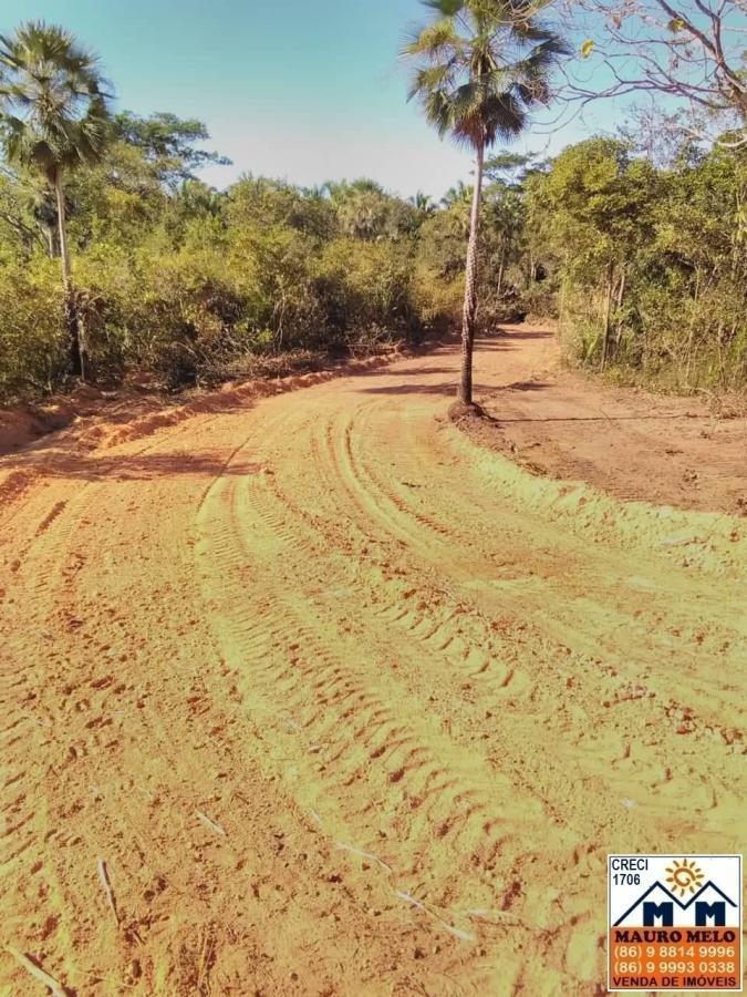 Fazenda à venda, 4026000m² - Foto 11