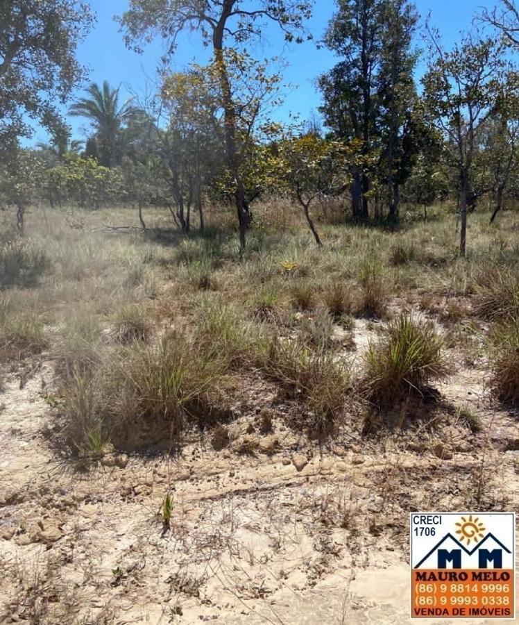 Fazenda à venda, 4026000m² - Foto 14
