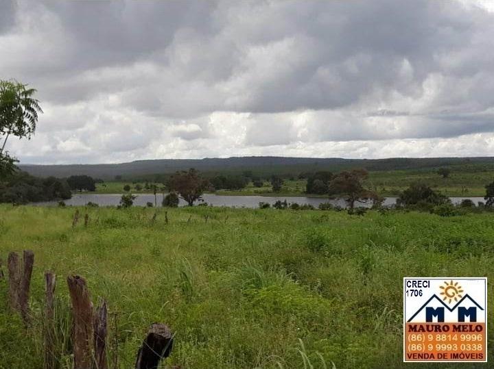 Fazenda à venda, 893000m² - Foto 7