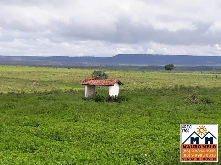 Fazenda à venda, 893000m² - Foto 6