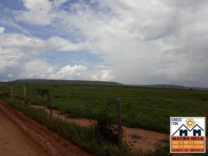 Fazenda à venda, 893000m² - Foto 15