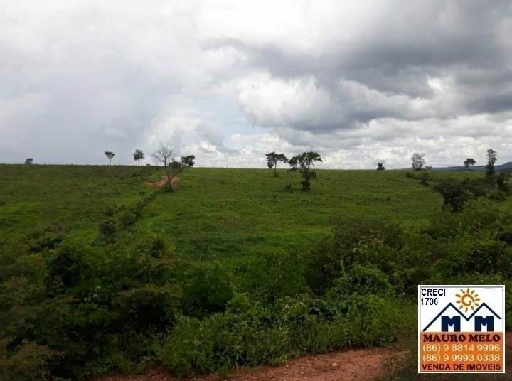 Fazenda à venda, 893000m² - Foto 19