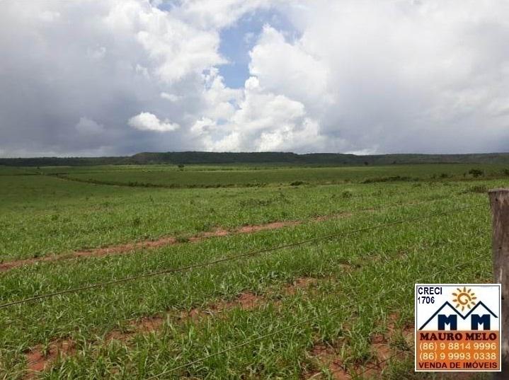 Fazenda à venda, 893000m² - Foto 20