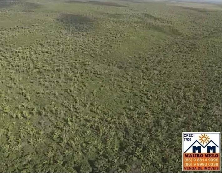 Fazenda à venda, 2500000m² - Foto 5