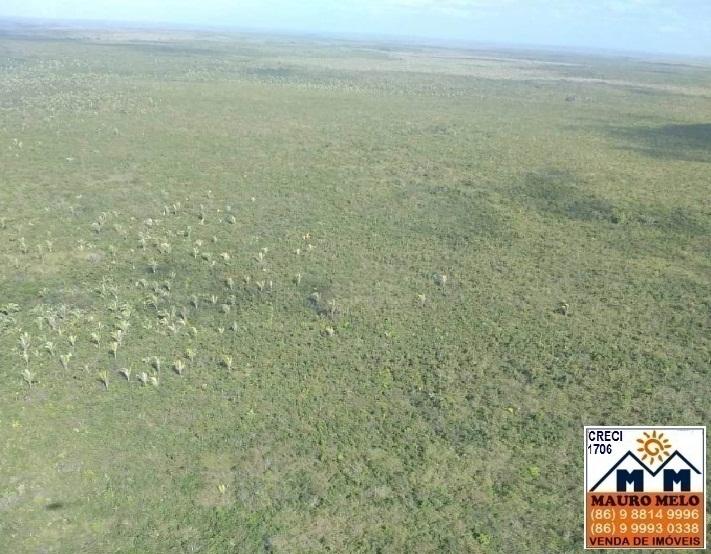 Fazenda à venda, 2500000m² - Foto 4