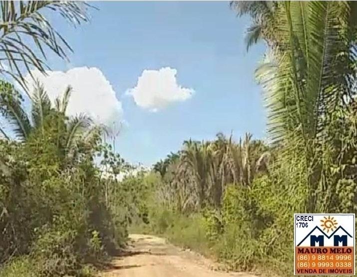 Fazenda à venda, 2500000m² - Foto 9