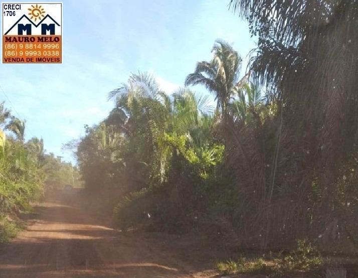 Fazenda à venda, 2500000m² - Foto 11
