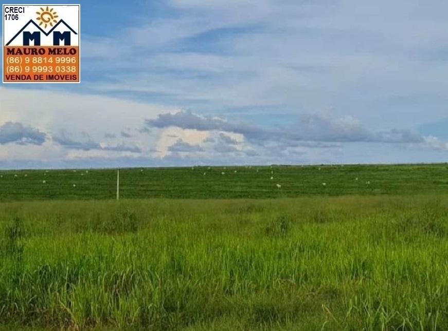 Fazenda à venda, 700000m² - Foto 6