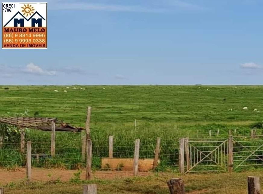 Fazenda à venda, 700000m² - Foto 9