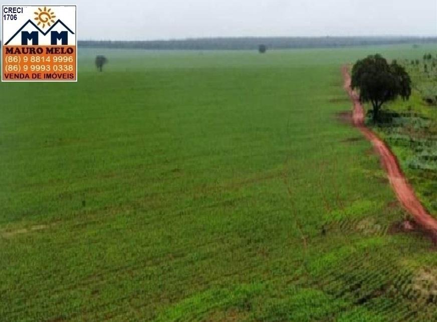 Fazenda à venda, 700000m² - Foto 8