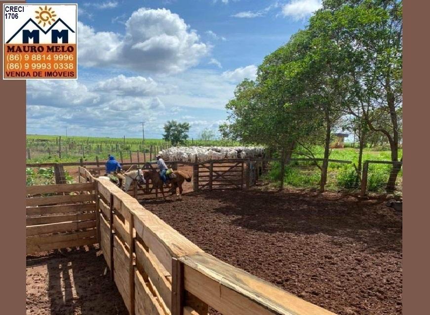 Fazenda à venda, 700000m² - Foto 11
