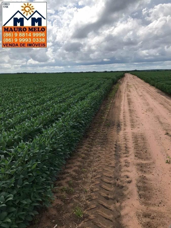 Fazenda à venda, 2680000m² - Foto 2