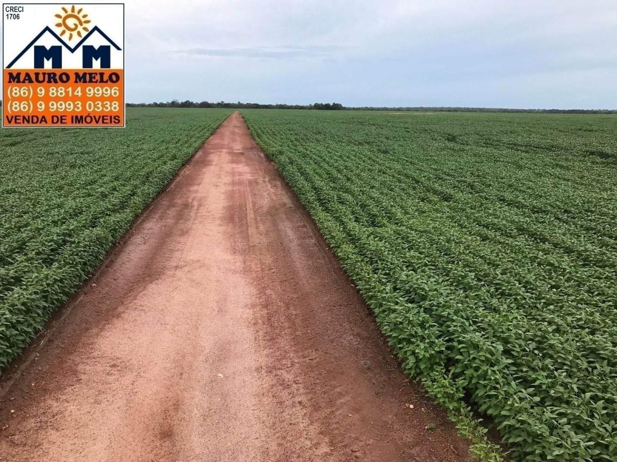 Fazenda à venda, 2680000m² - Foto 3