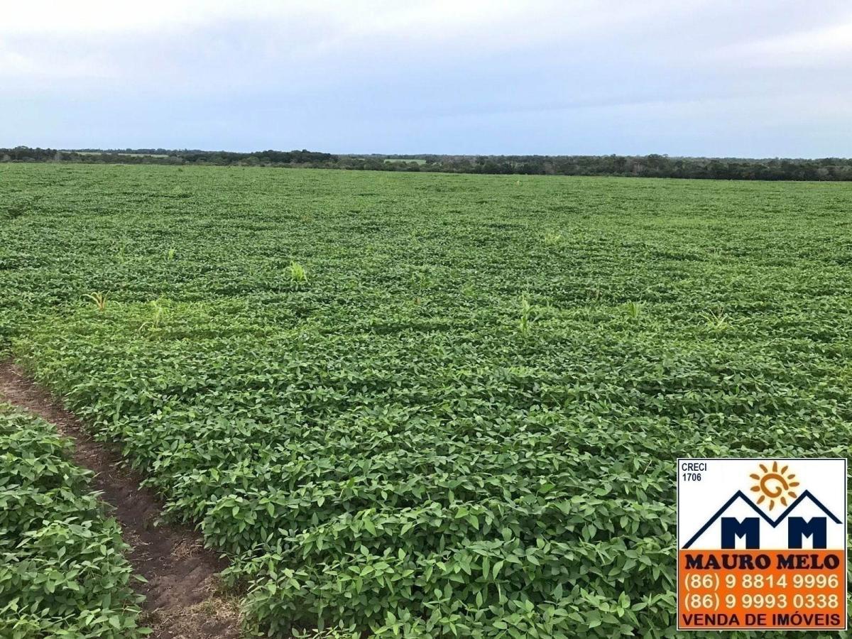 Fazenda à venda, 2680000m² - Foto 1