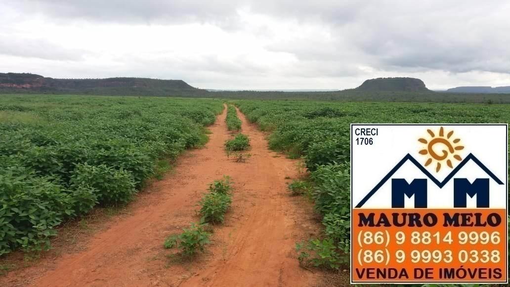 Fazenda à venda, 1780000m² - Foto 4