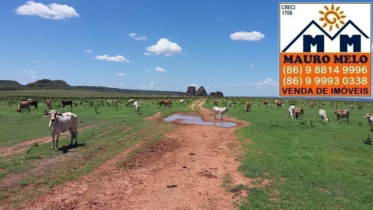 Fazenda à venda, 1780000m² - Foto 5