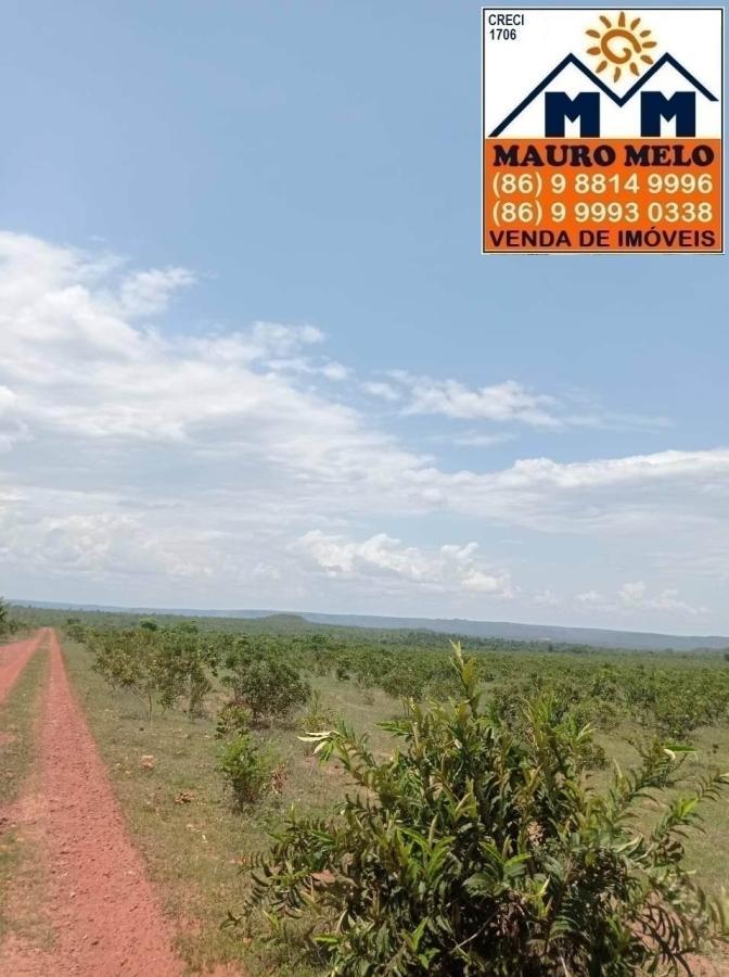Fazenda à venda, 1780000m² - Foto 6