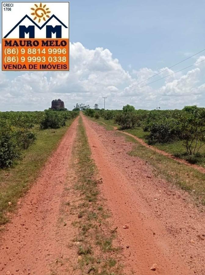 Fazenda à venda, 1780000m² - Foto 10