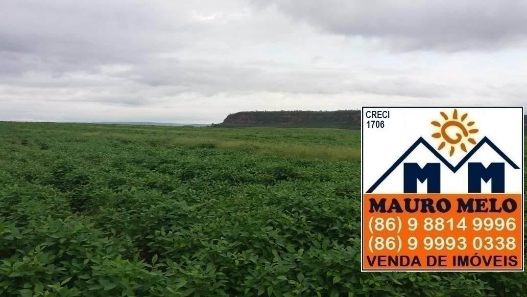 Fazenda à venda, 1780000m² - Foto 13