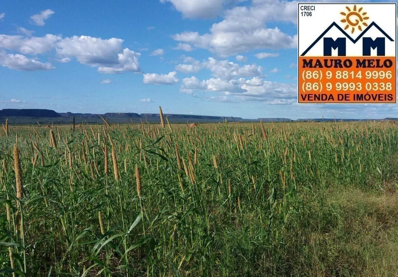 Fazenda à venda, 1780000m² - Foto 14