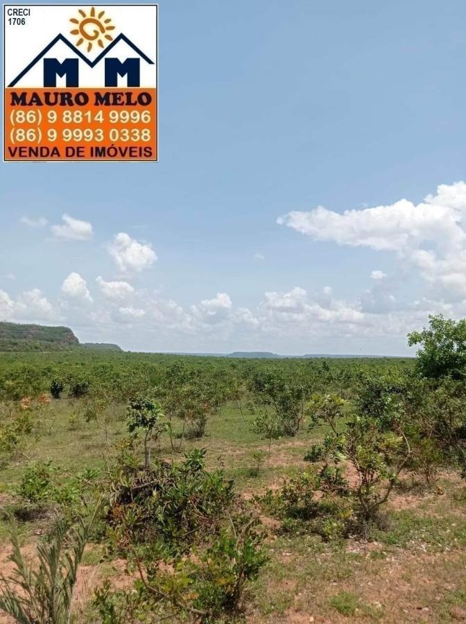 Fazenda à venda, 1780000m² - Foto 18