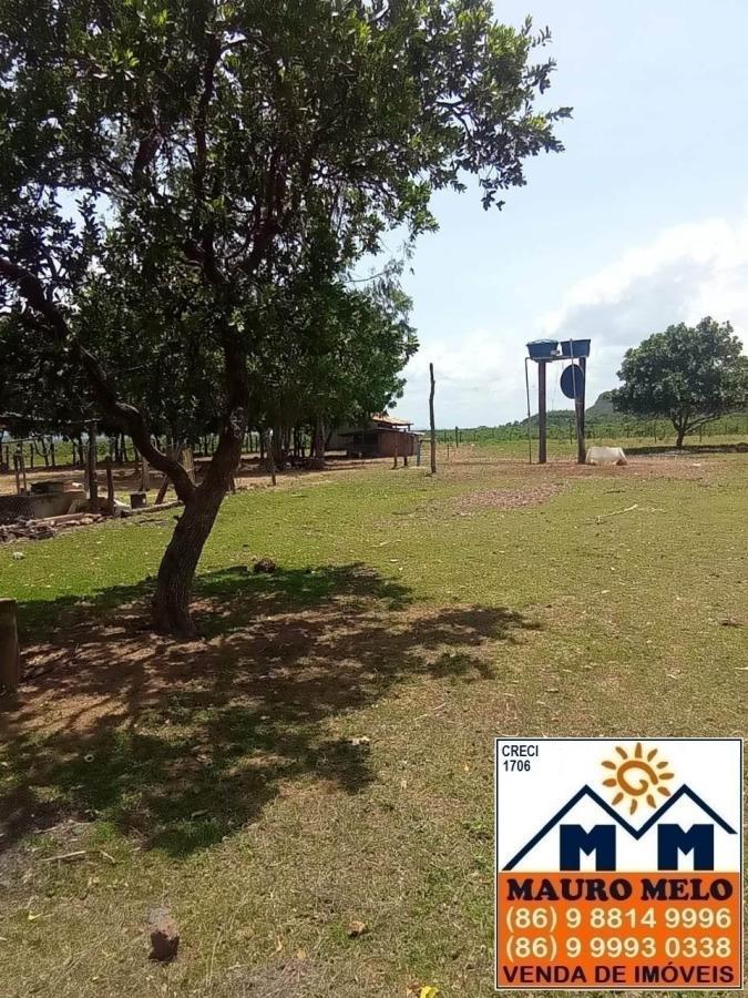 Fazenda à venda, 1780000m² - Foto 19