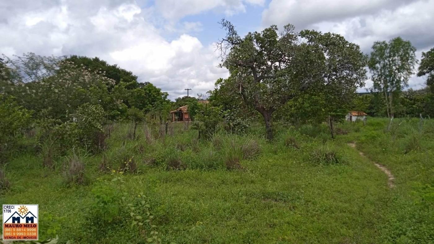 Sítio, 4 quartos, 70 hectares - Foto 15