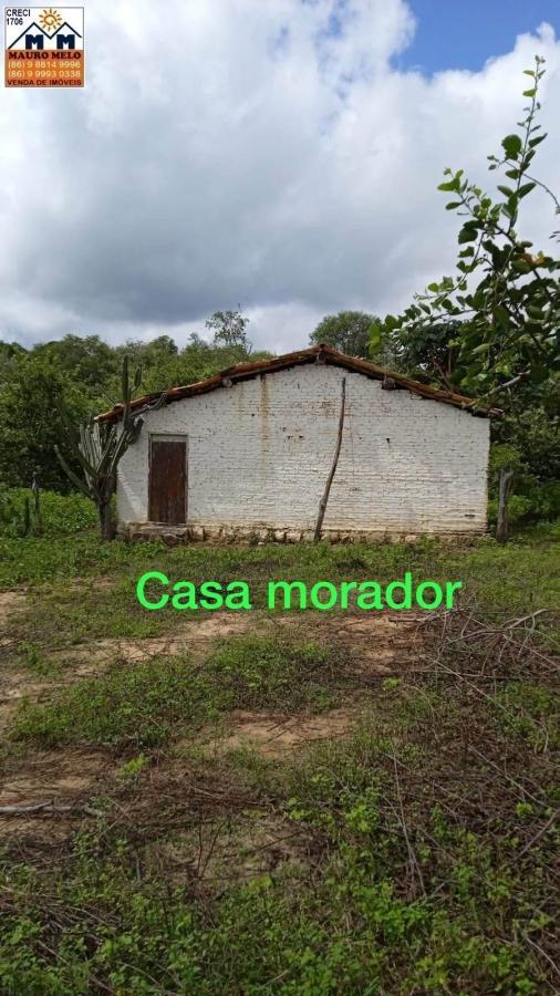 Sítio, 4 quartos, 70 hectares - Foto 14