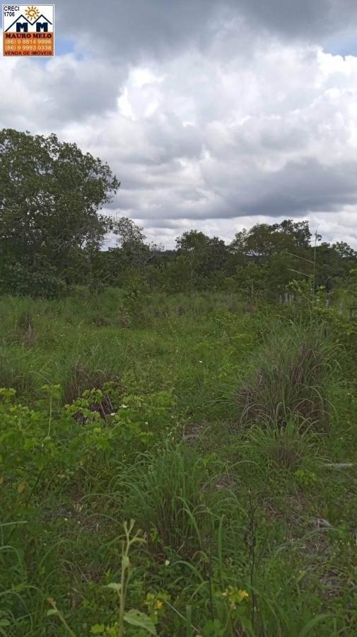 Sítio, 4 quartos, 70 hectares - Foto 16