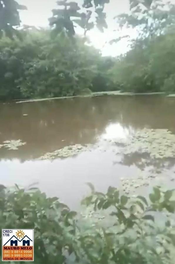 Sítio, 4 quartos, 70 hectares - Foto 19