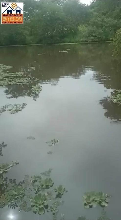 Sítio, 4 quartos, 70 hectares - Foto 18