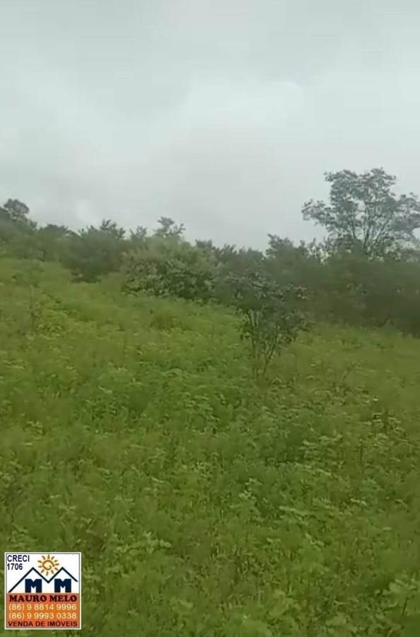 Sítio, 4 quartos, 70 hectares - Foto 21