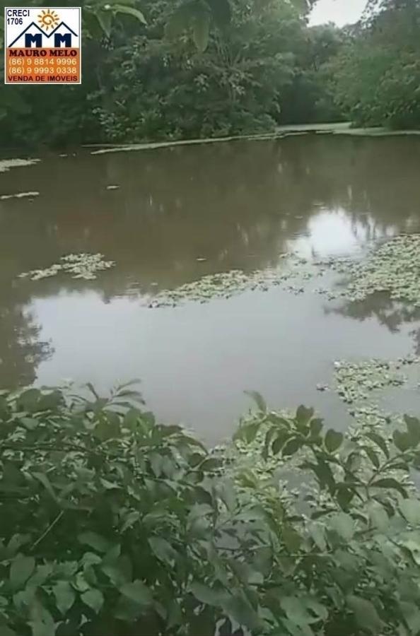 Sítio, 4 quartos, 70 hectares - Foto 20