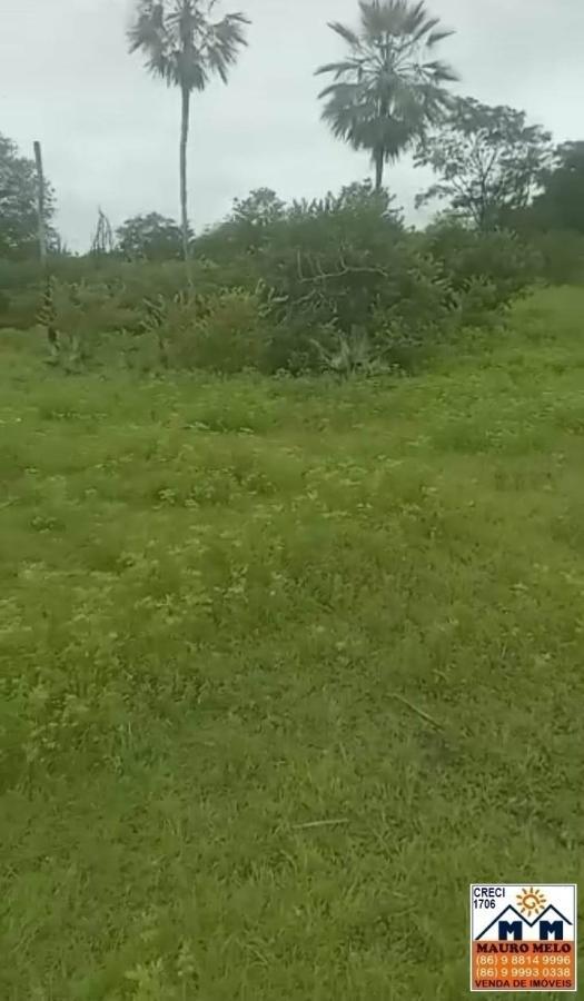 Sítio, 4 quartos, 70 hectares - Foto 22