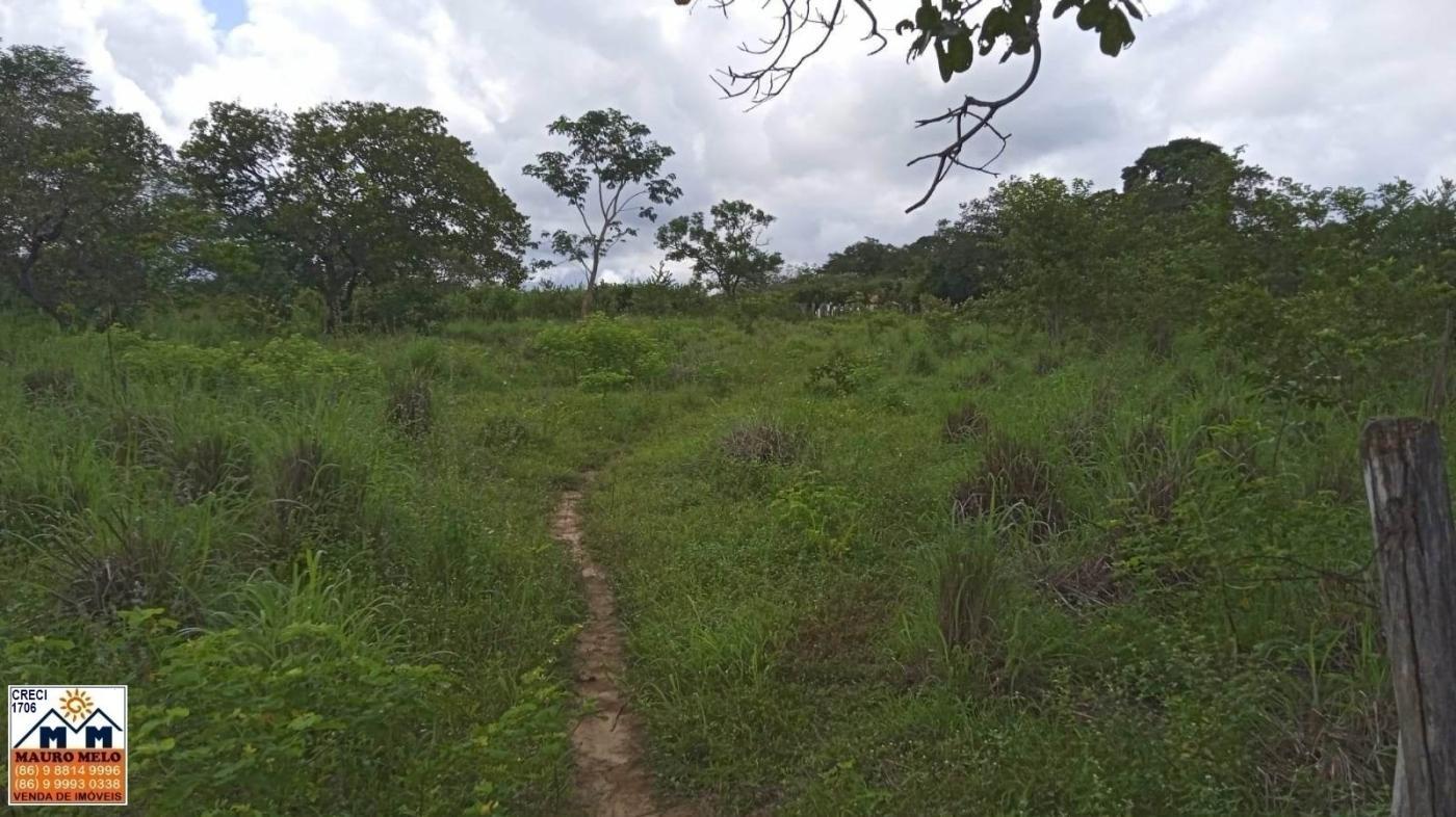 Sítio, 4 quartos, 70 hectares - Foto 24