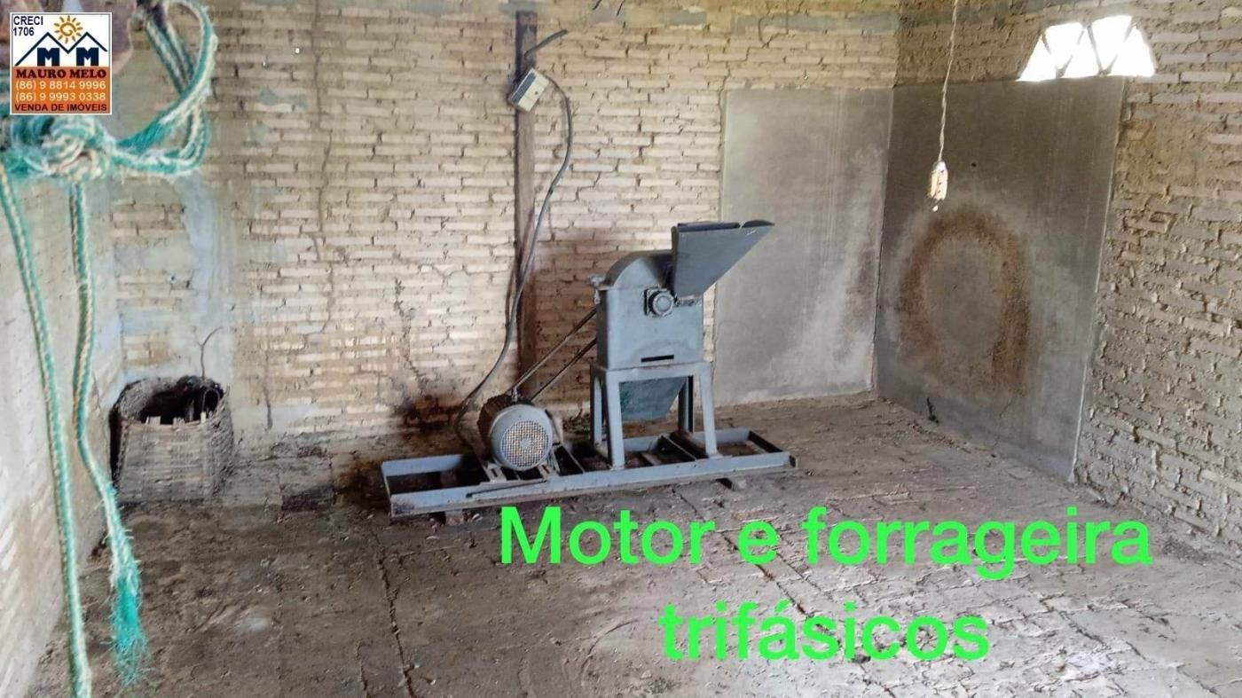 Sítio, 4 quartos, 70 hectares - Foto 25