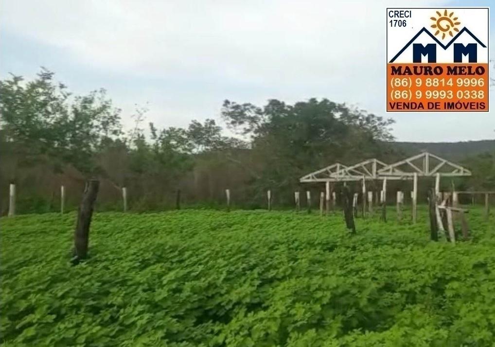 Fazenda à venda, 418100m² - Foto 4