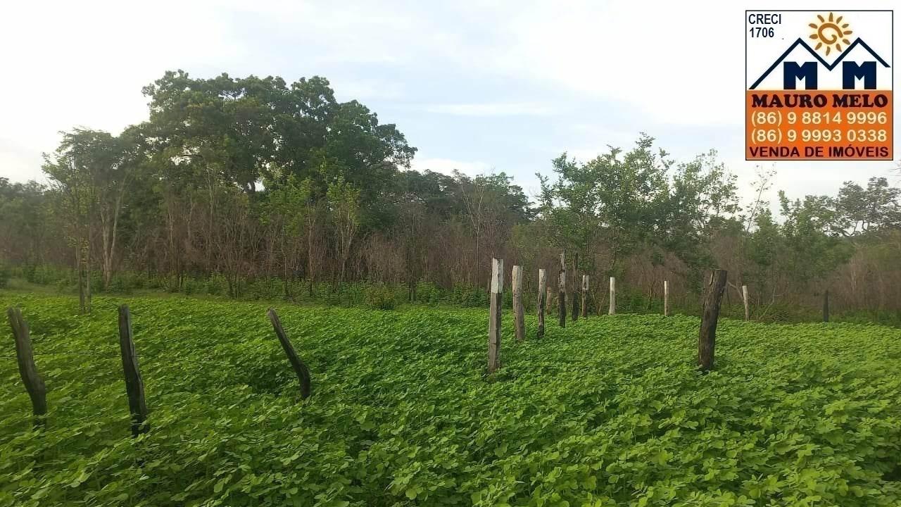 Fazenda à venda, 418100m² - Foto 3