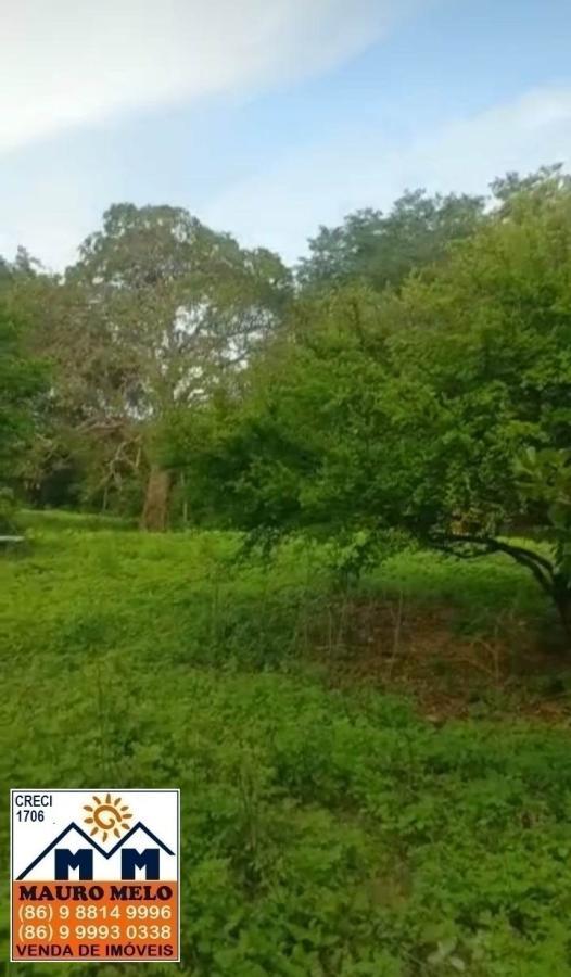 Fazenda à venda, 418100m² - Foto 7