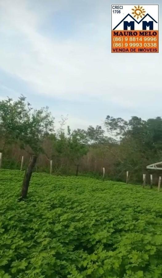 Fazenda à venda, 418100m² - Foto 9