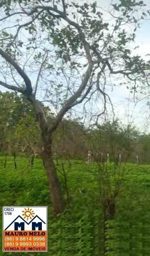 Fazenda à venda, 418100m² - Foto 10