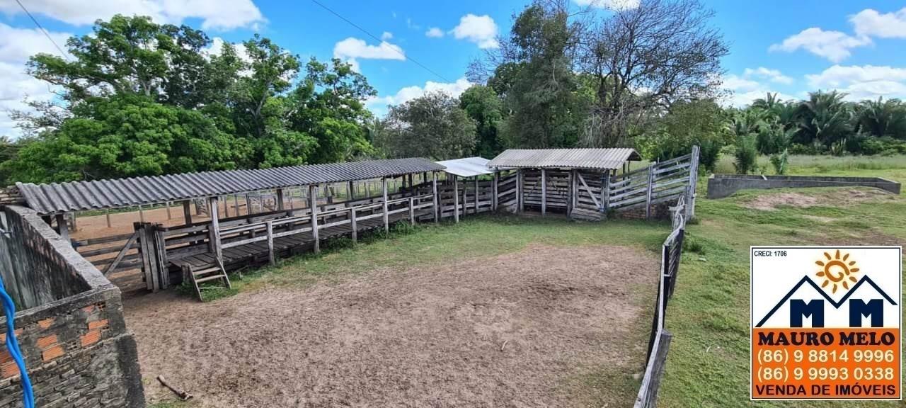 Fazenda à venda, 50300m² - Foto 2